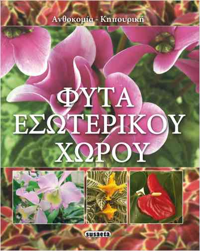 Φυτά εσωτερικού χώρου